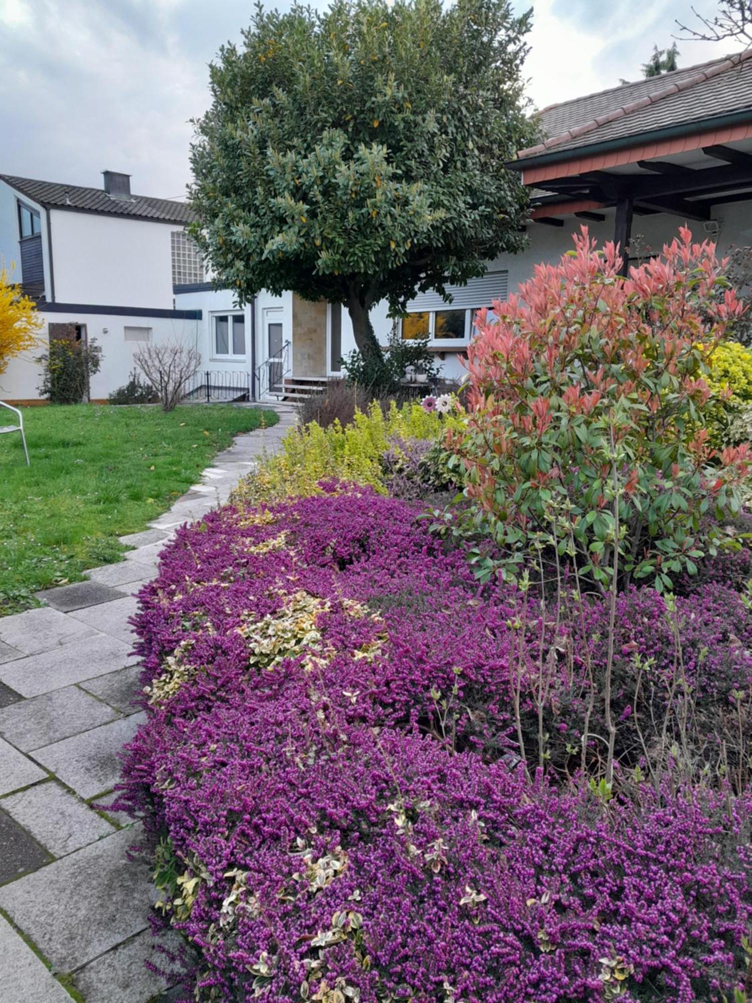 Appartamento Goldstueck Im Gruenen Bad Schönborn Esterno foto